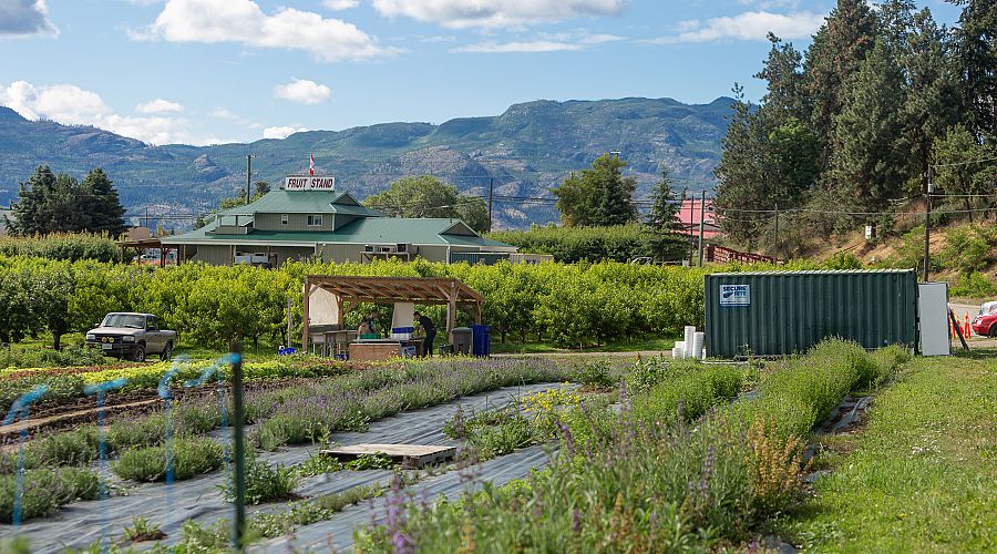 Sustainability in Business 